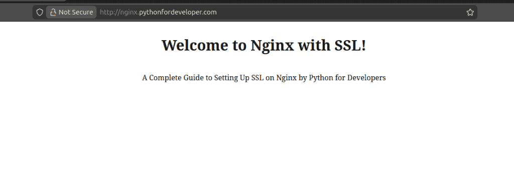 Nginx Website with Domain